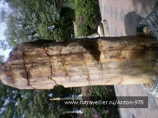 photo 362831