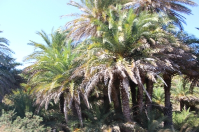 photo 845916