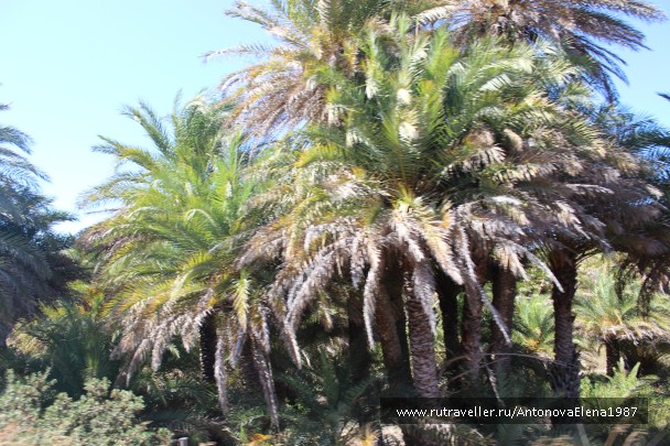 photo 845916