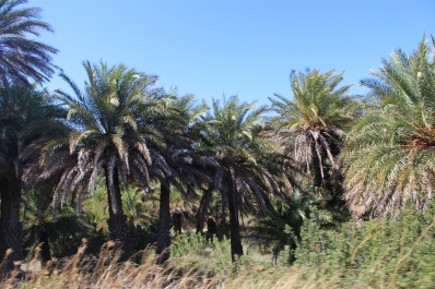 photo 845917