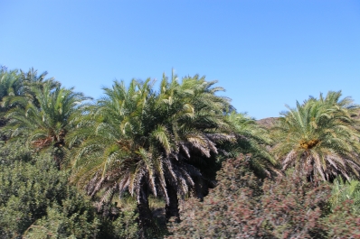 photo 845918