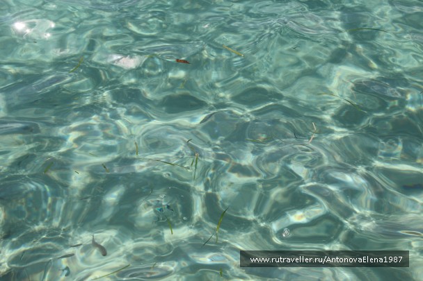 photo 846238