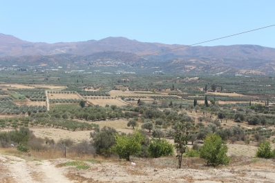 photo 846338