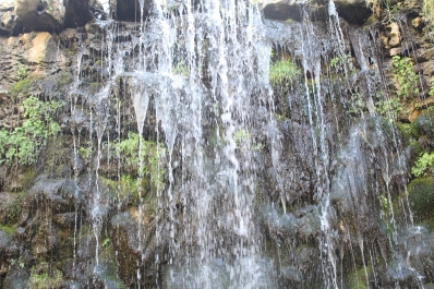 photo 846433