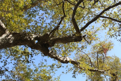 photo 846452