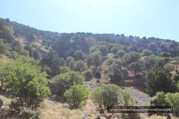 photo 846504