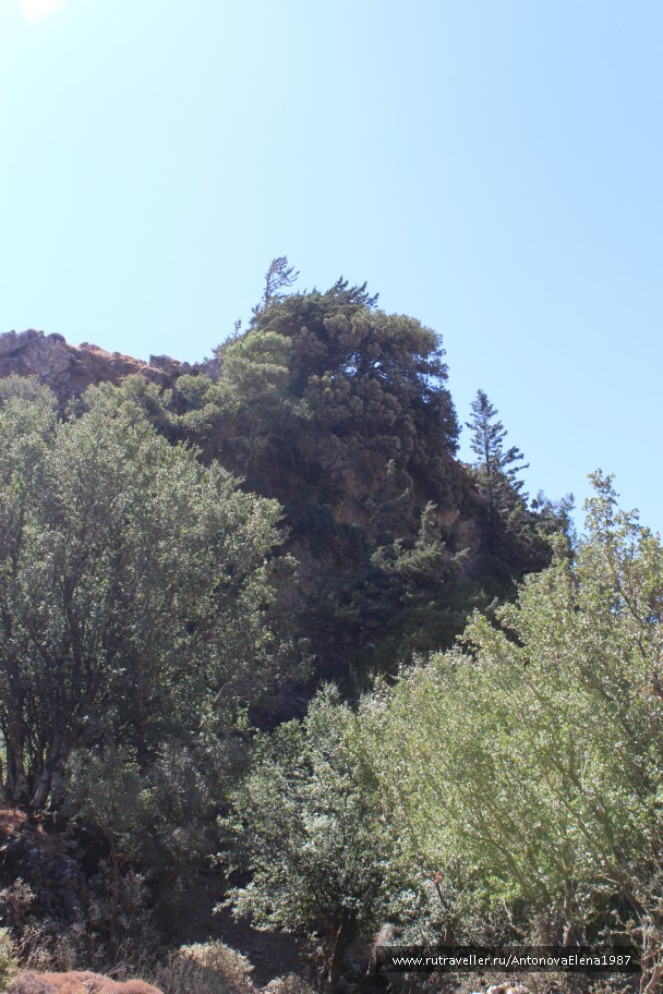 photo 846514