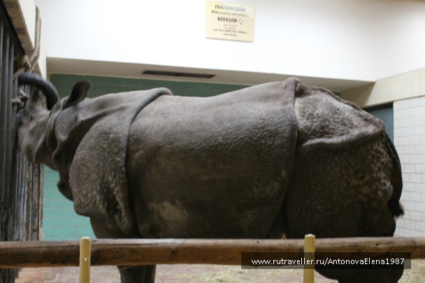 photo 940439