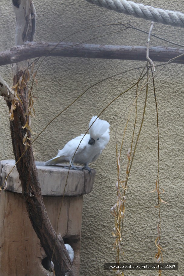 photo 940446