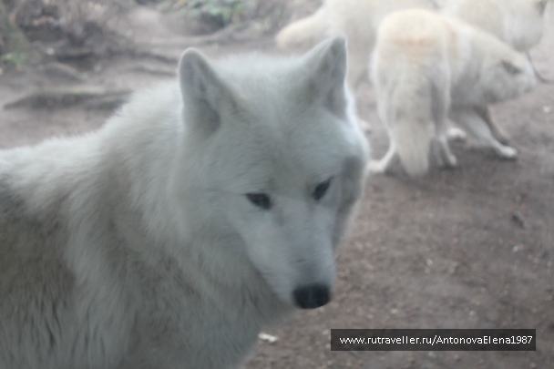 photo 940449