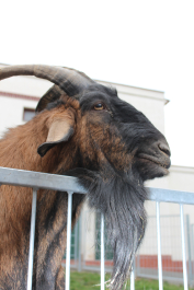 photo 1125419