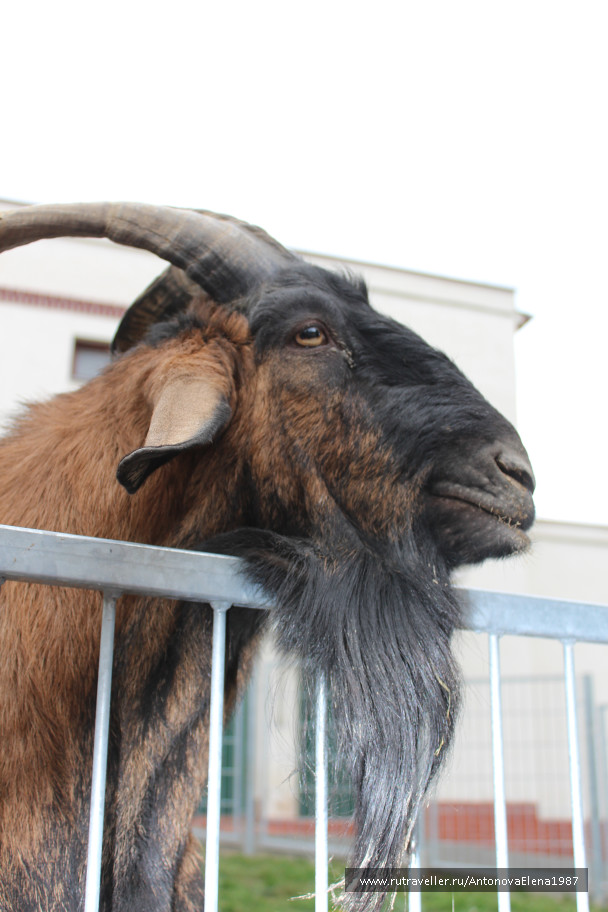 photo 1125419