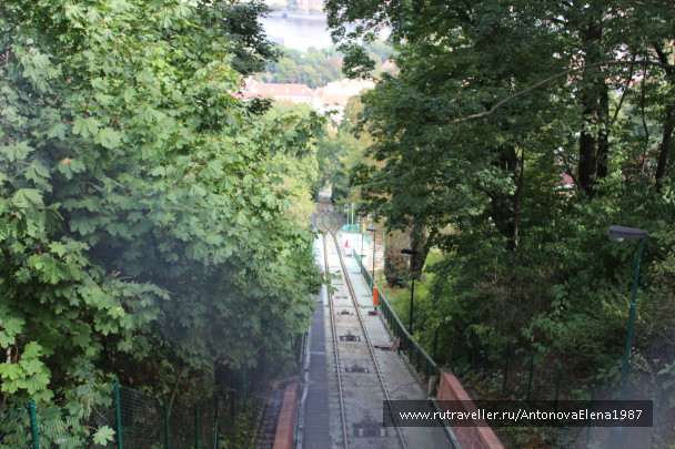 photo 1125804
