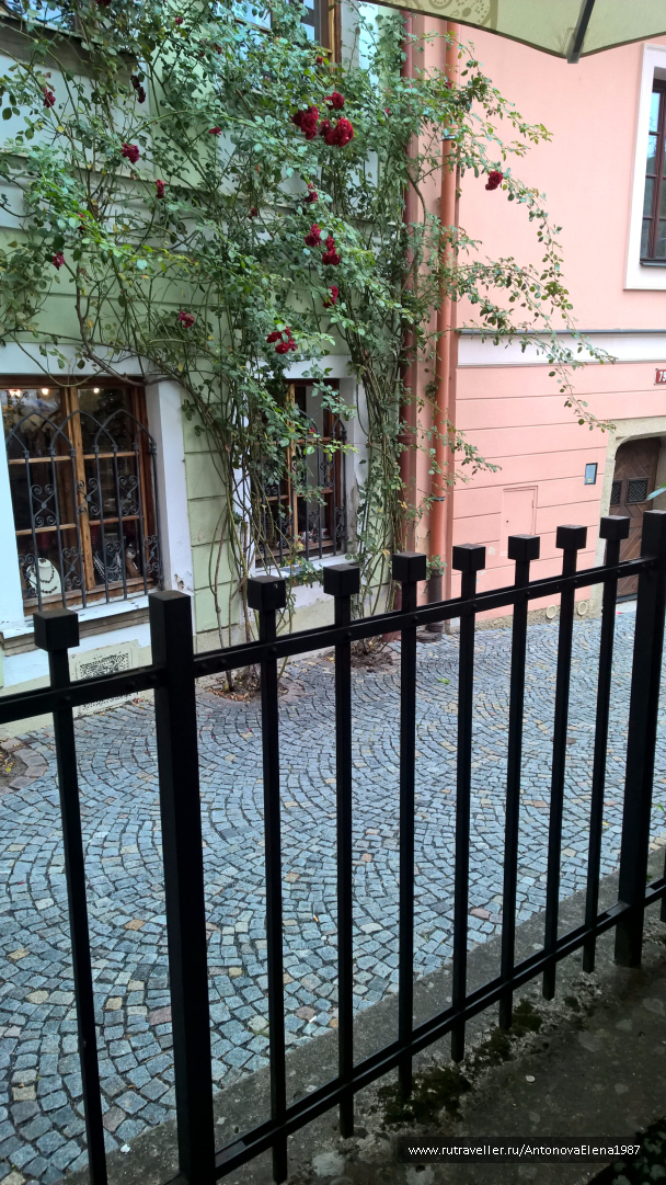 photo 1130698