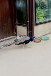 photo 1153945