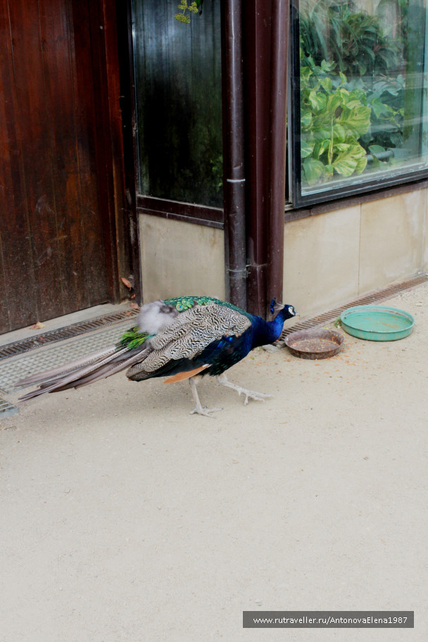 photo 1153945