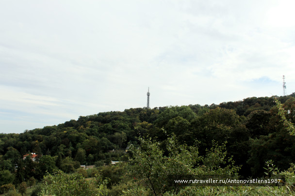 photo 1153968