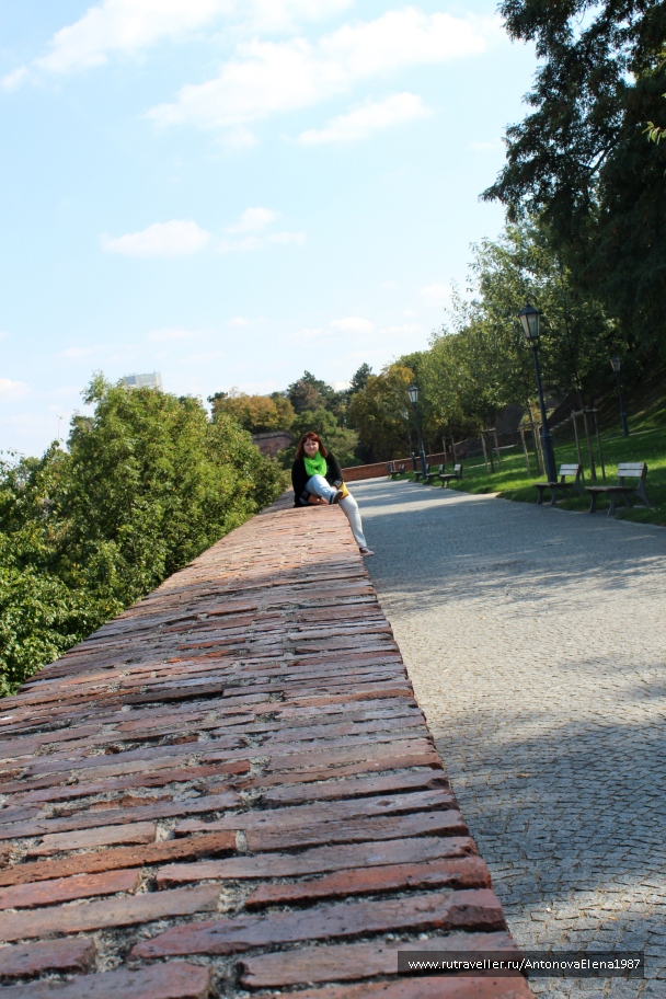 photo 1154021