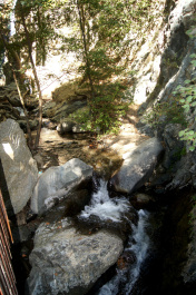 photo 153261