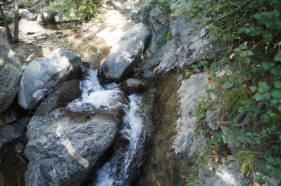 photo 153262