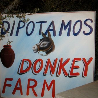 Кипр, Dipotamos Donkey farm