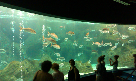 photo 652322