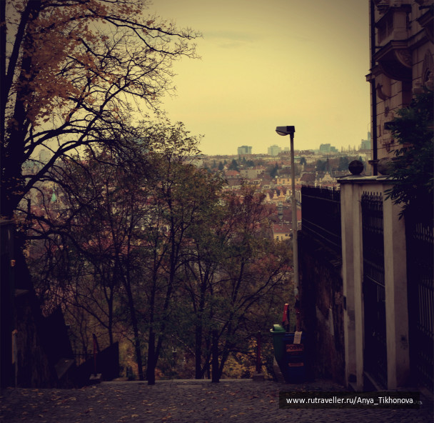 photo 265567