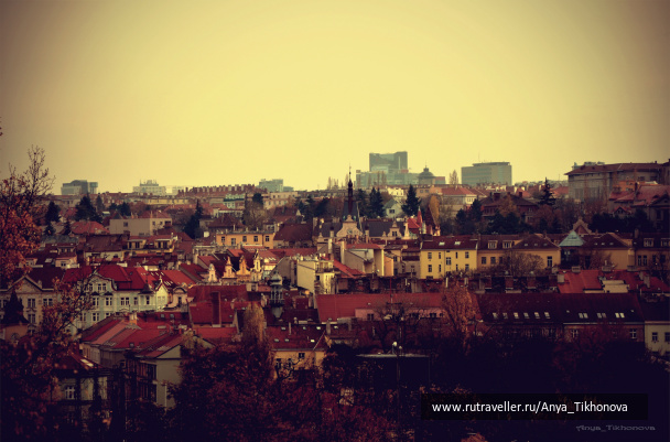 photo 265568