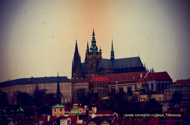 photo 265570