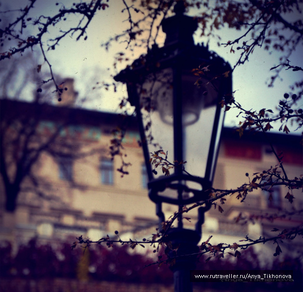 photo 265573