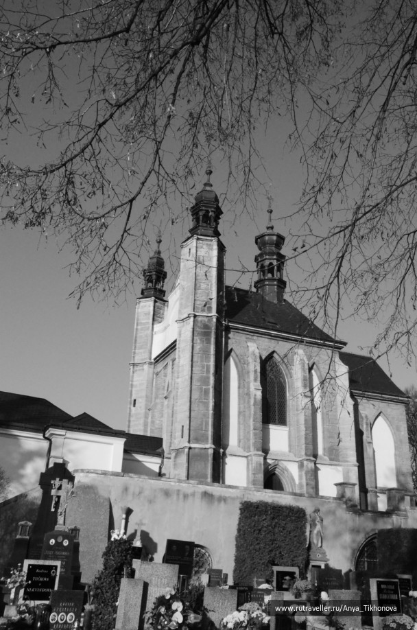 photo 265582