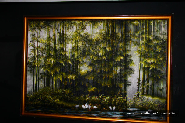 photo 258363