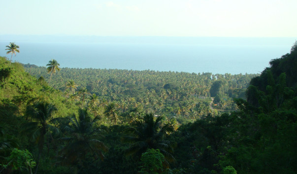 DSC01209