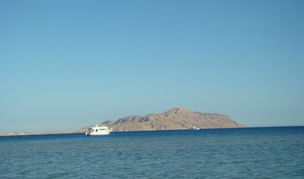 DSC00628