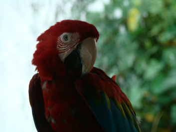 photo 73842