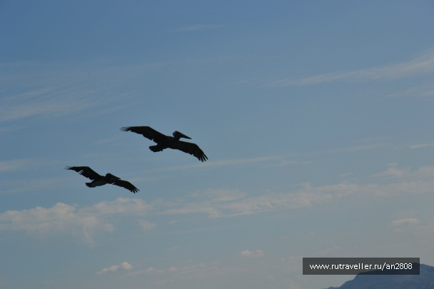 photo 457169
