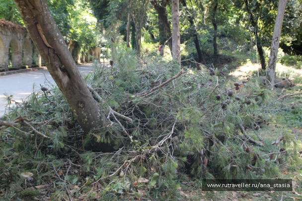 photo 431425