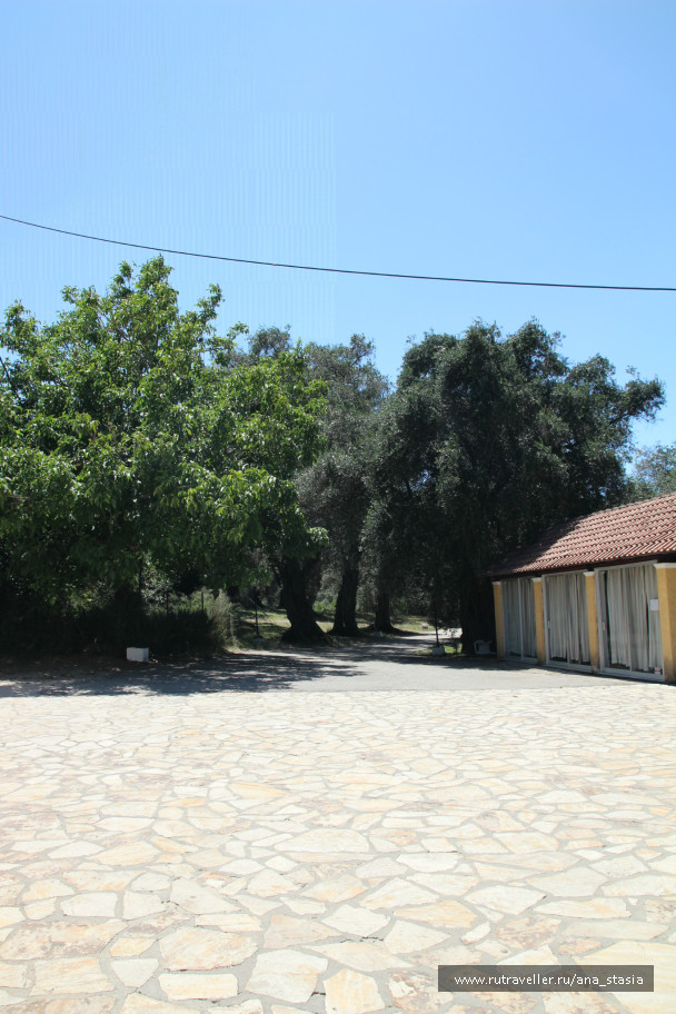 photo 431433