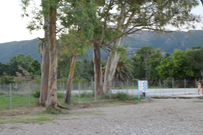 photo 431445