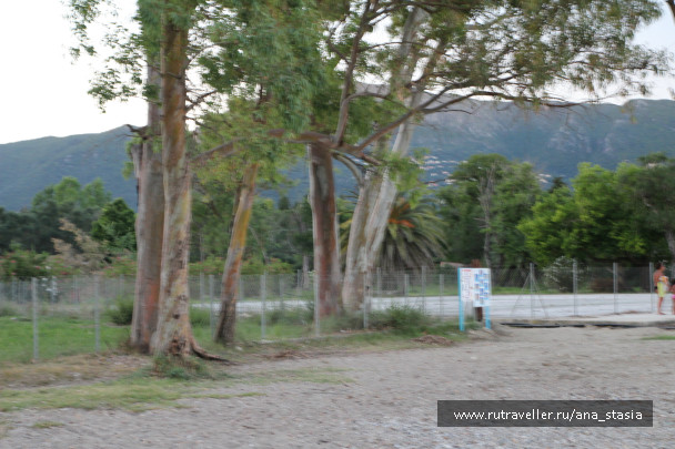 photo 431445