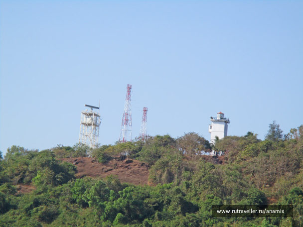 photo 1542245