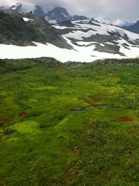 photo 713379