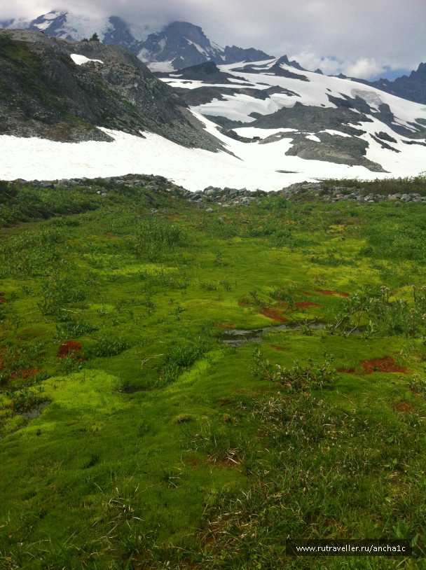 photo 713379
