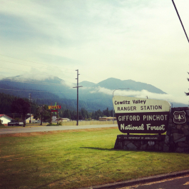 photo 713382