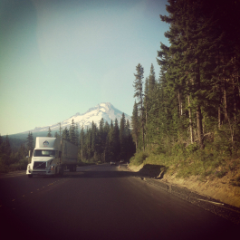 photo 713384