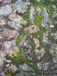 photo 1613095