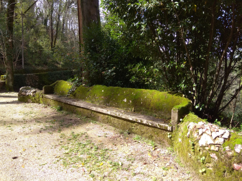 photo 1613105