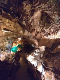 photo 1613144