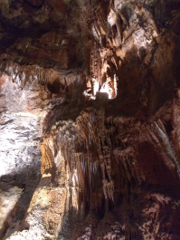 photo 1613145