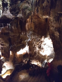 photo 1613148